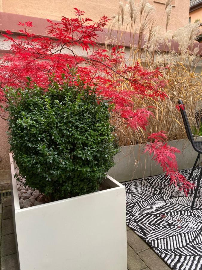 Como Design-Apartment Close To Isar River Area - Centrally Located München Exteriör bild
