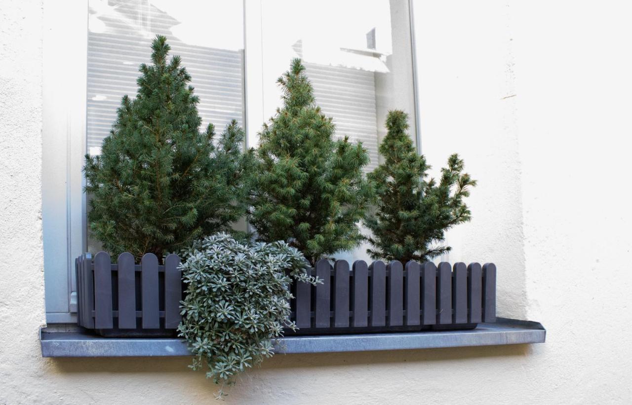Como Design-Apartment Close To Isar River Area - Centrally Located München Exteriör bild